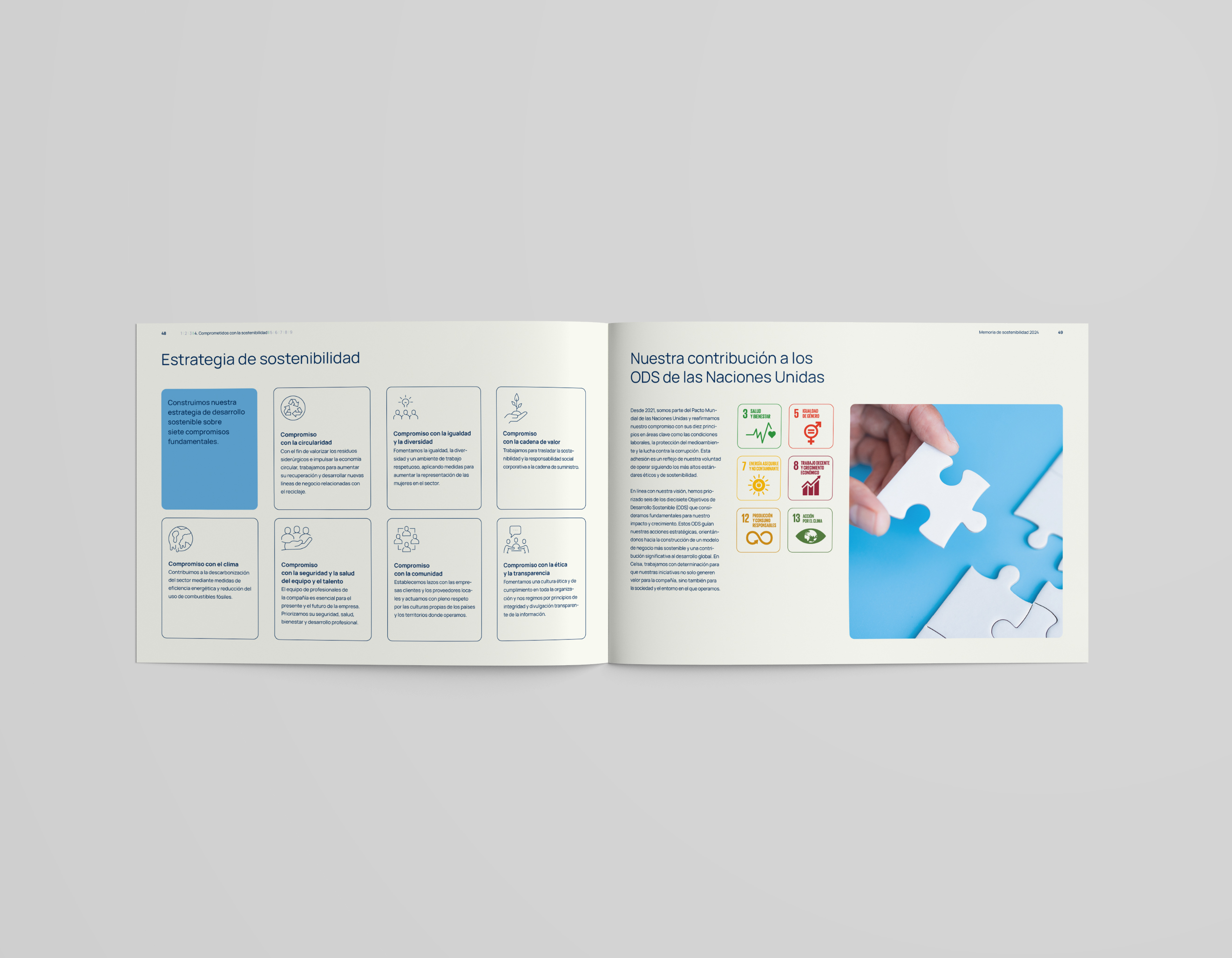 mockup_memoria_celsa3